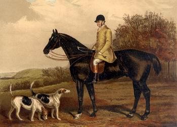 unknow artist Classical hunting fox, Equestrian and Beautiful Horses, 200. oil painting picture